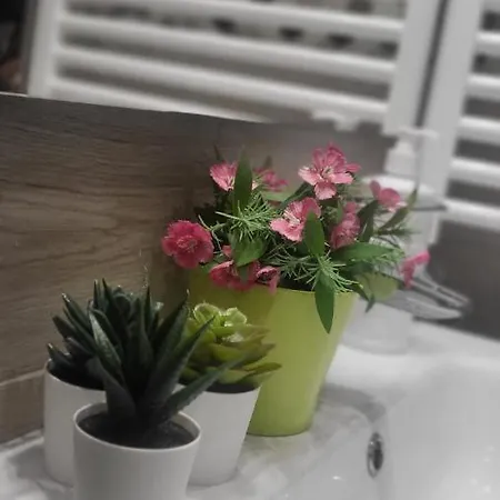 Apartment Piccolo Fiore